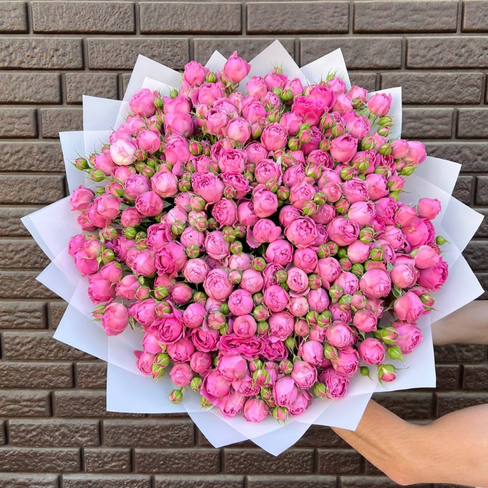 spray_roses_05_1